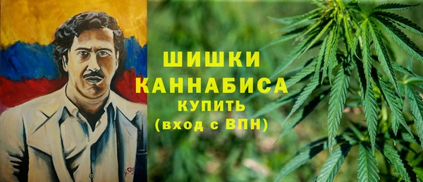 СК Покров